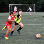 soccer6 soccer6