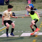soccer7 soccer7